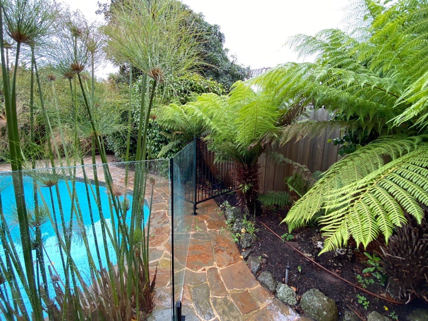 Glass Pool Fencing Ashburton 10