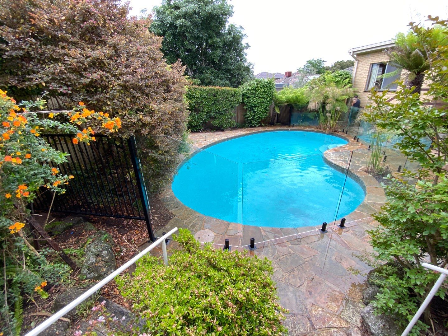 Glass Pool Fencing Ashburton 2