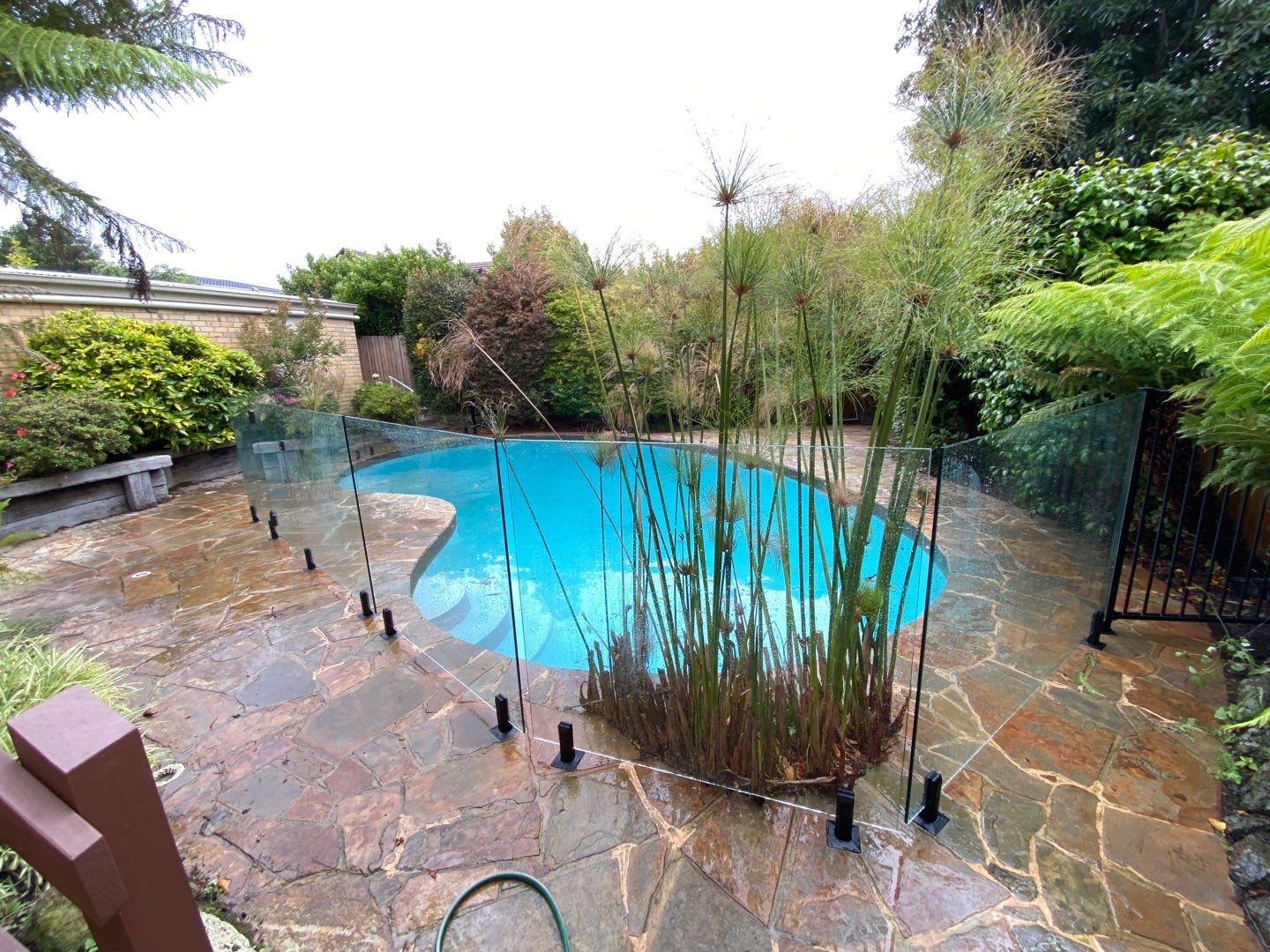 Glass Pool Fencing Ashburton 3