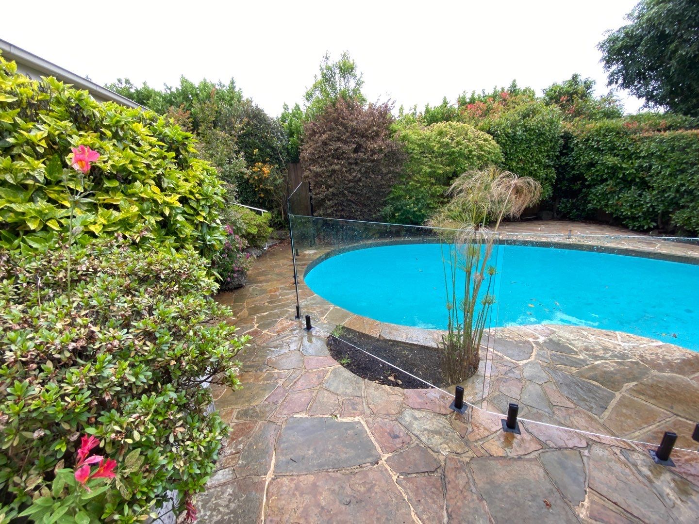 Glass Pool Fencing Ashburton 5