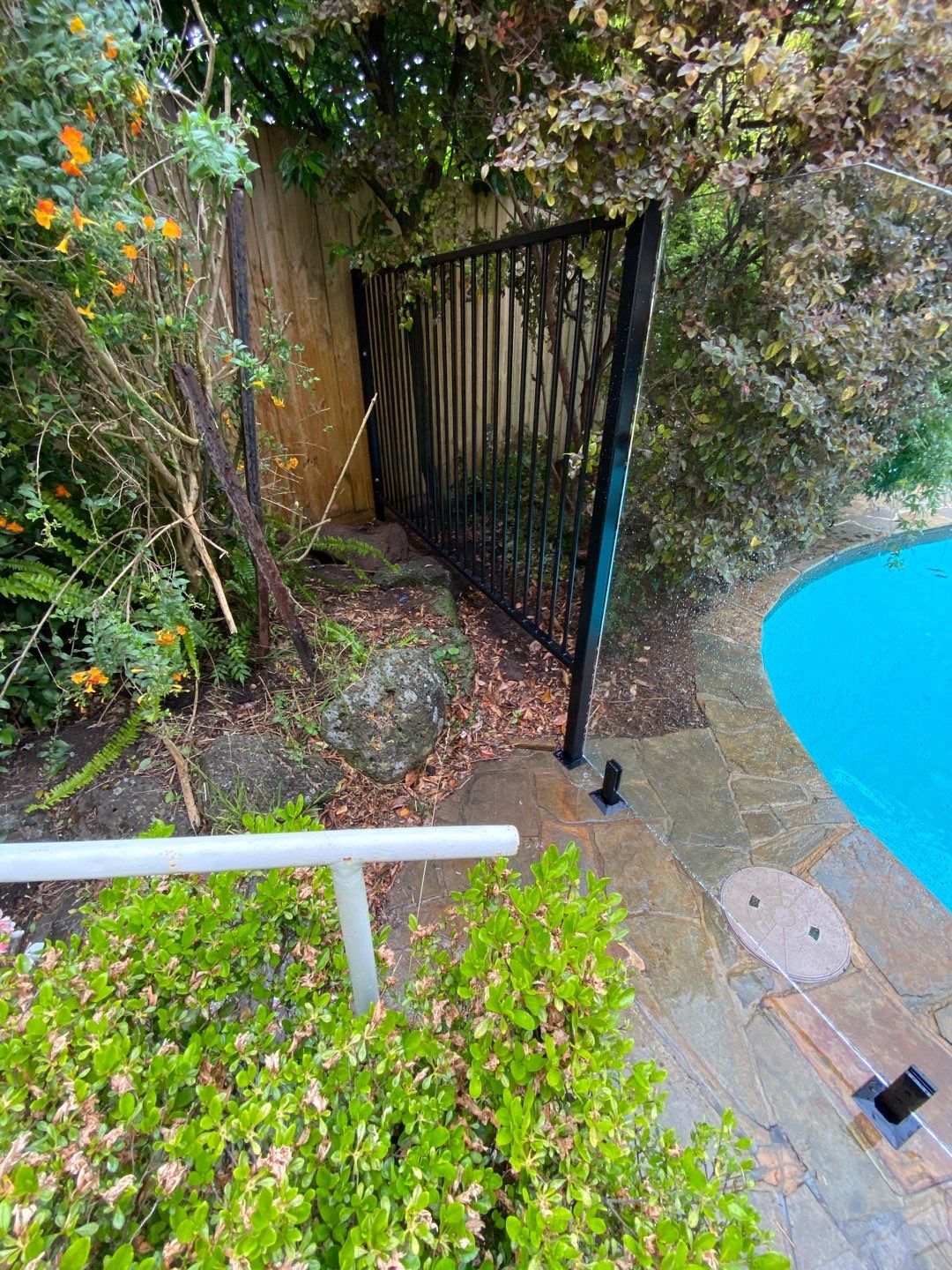 Glass Pool Fencing Ashburton 6