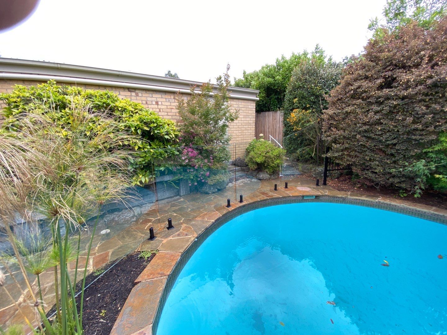 Glass Pool Fencing Ashburton 8